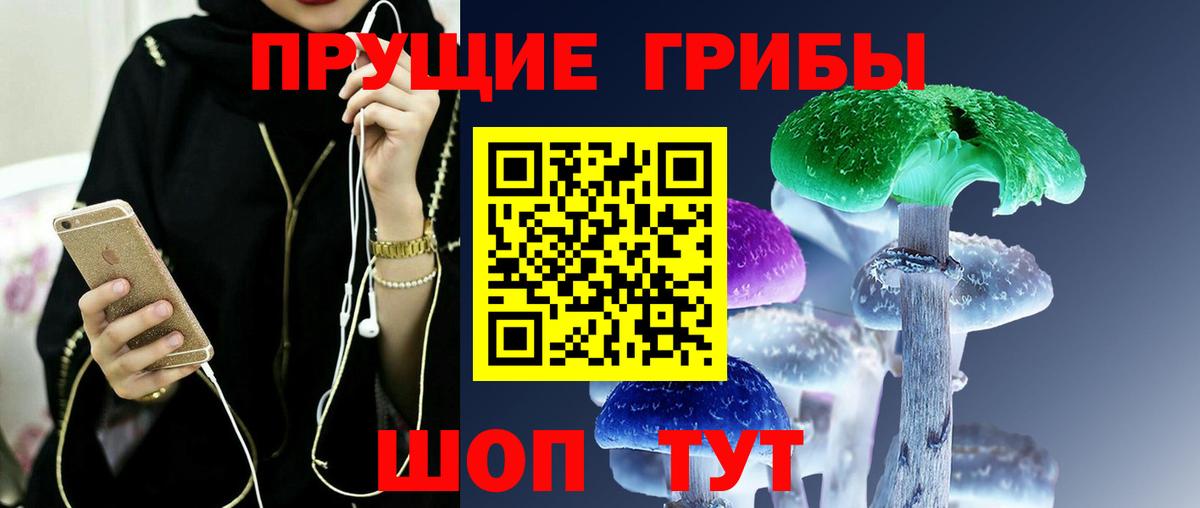 Псилоцибиновые грибы прущие грибы  Вход с VPN  Донецк  Псилоцибиновые грибы Psilocybe 